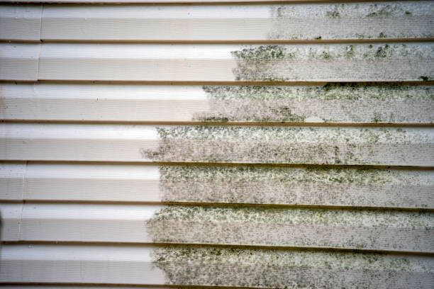 Best Carpet Removal and Disposal  in Metairie, LA